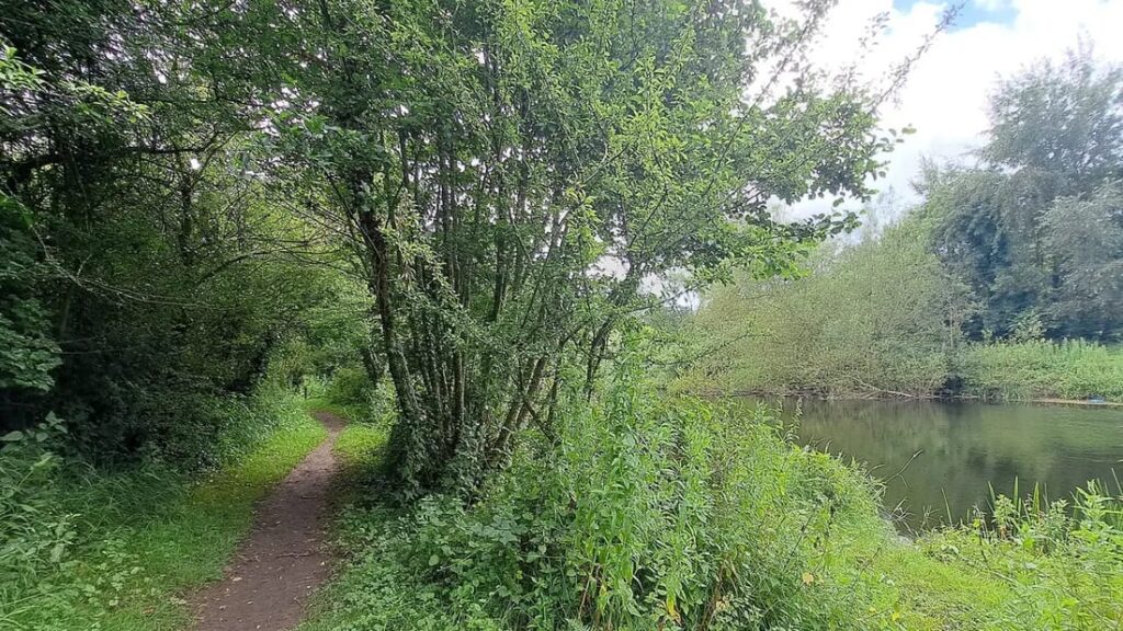 Nore Valley Walk – Kilkenny to Bennettsbridge